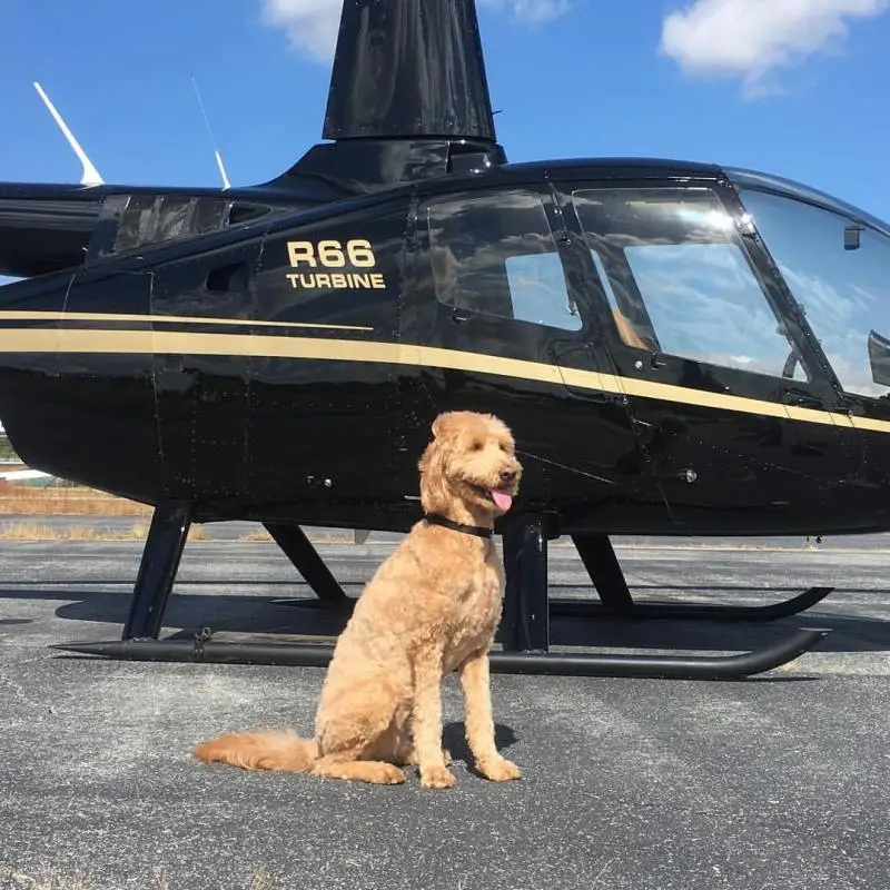 Photo du site web de Prestige Helicopters