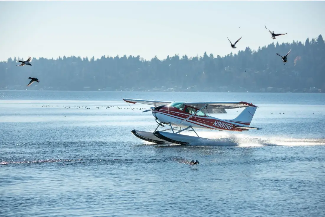 Photo from Kenmore Air Harbor's website