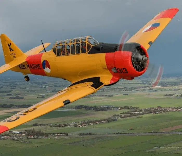 Photo from Wings over Holland's website