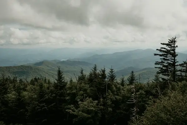 Photo from P&N Flight And Charter's website