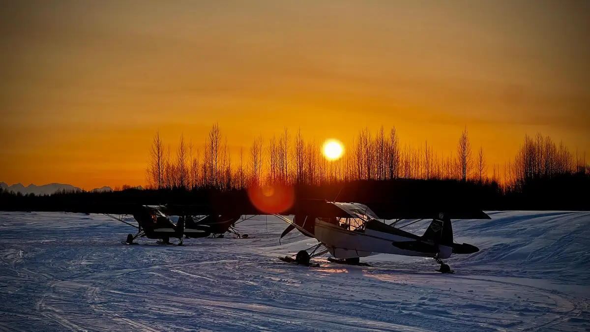 Foto del sitio web de Acme Cub Training