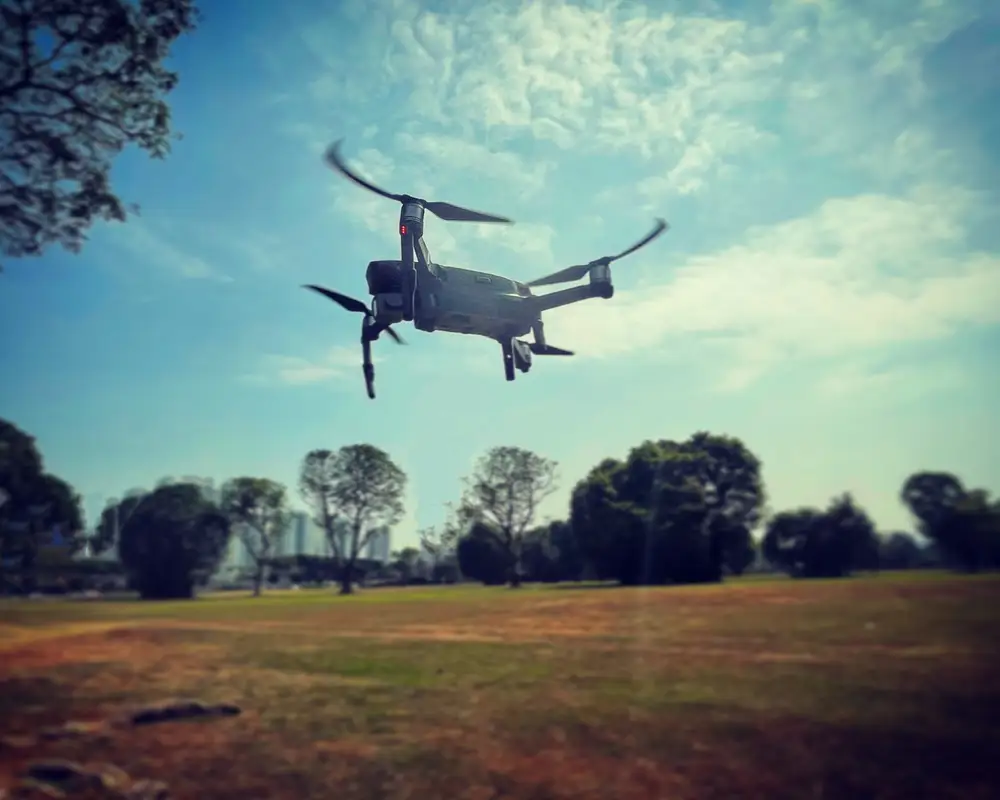 Photo from Singapore Flying College Pte Ltd's website