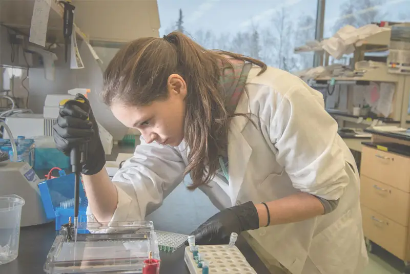Photo from University Of Alaska Anchorage's website