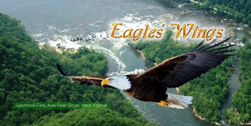 Photo from Eagles' Wings Flight Training's website