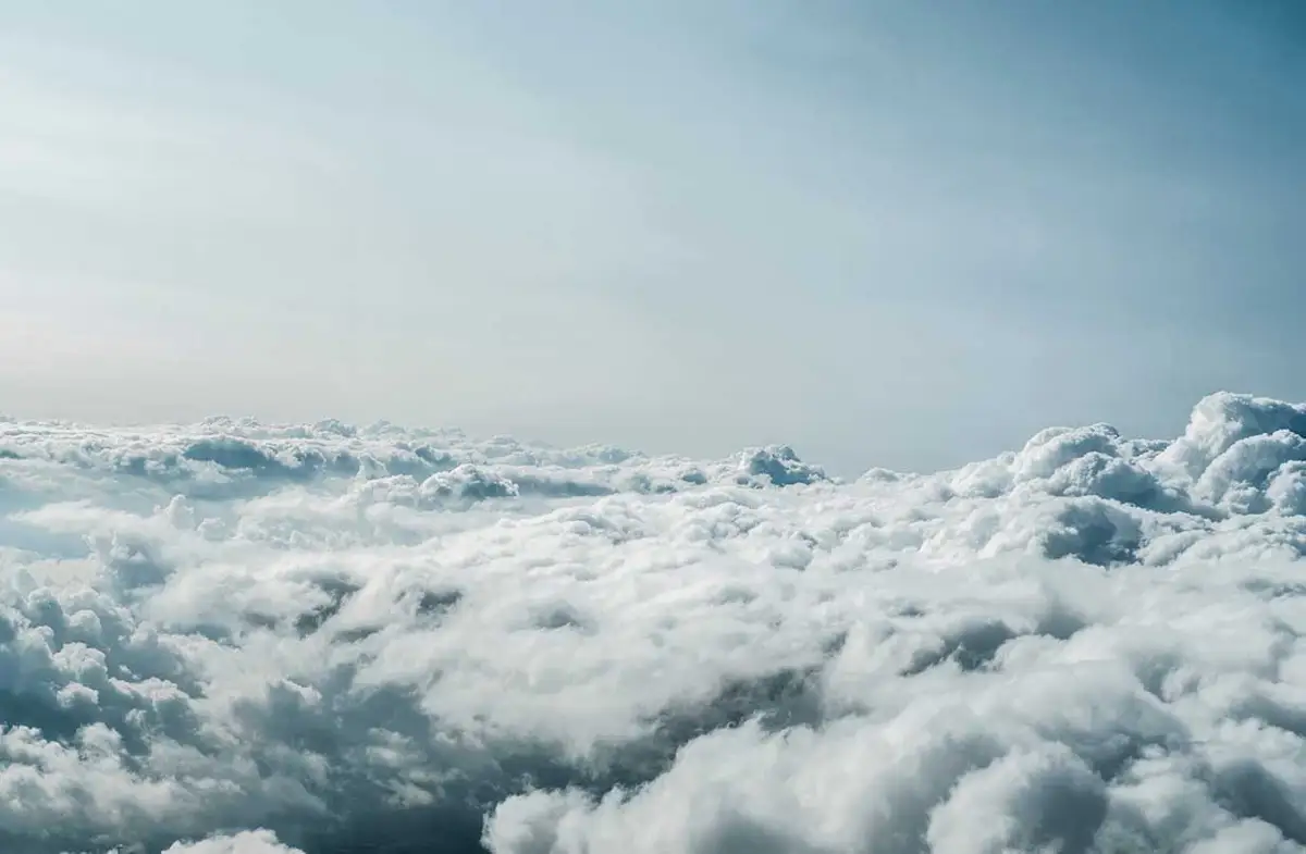 Foto del sitio web de Fly By Knight
