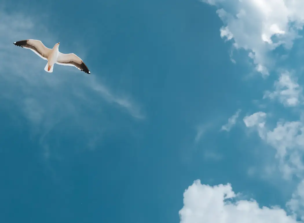 Photo from FLY-COOP ACADEMY Kft's website