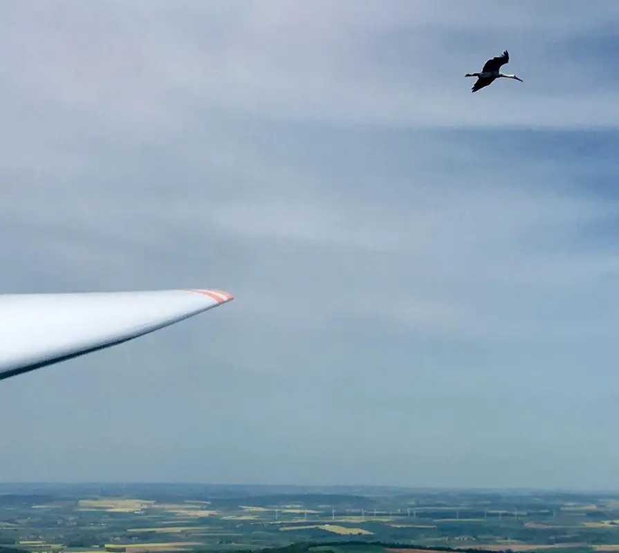 Photo from Planeur Grand Nancy's website