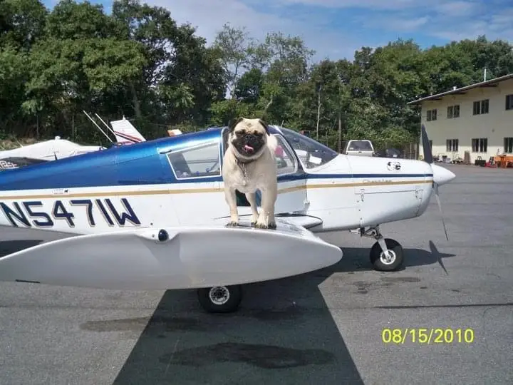 Foto von der Website von Port Instrument Flight School