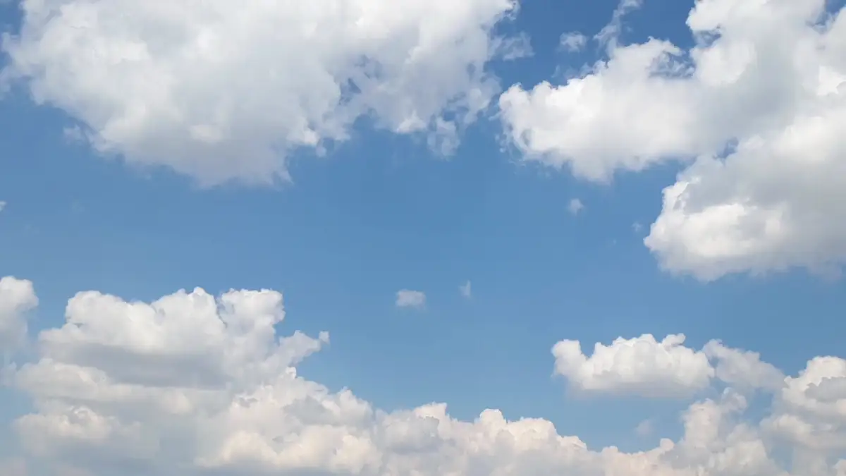 Photo from Harvey And Rihn Aviation INC's website