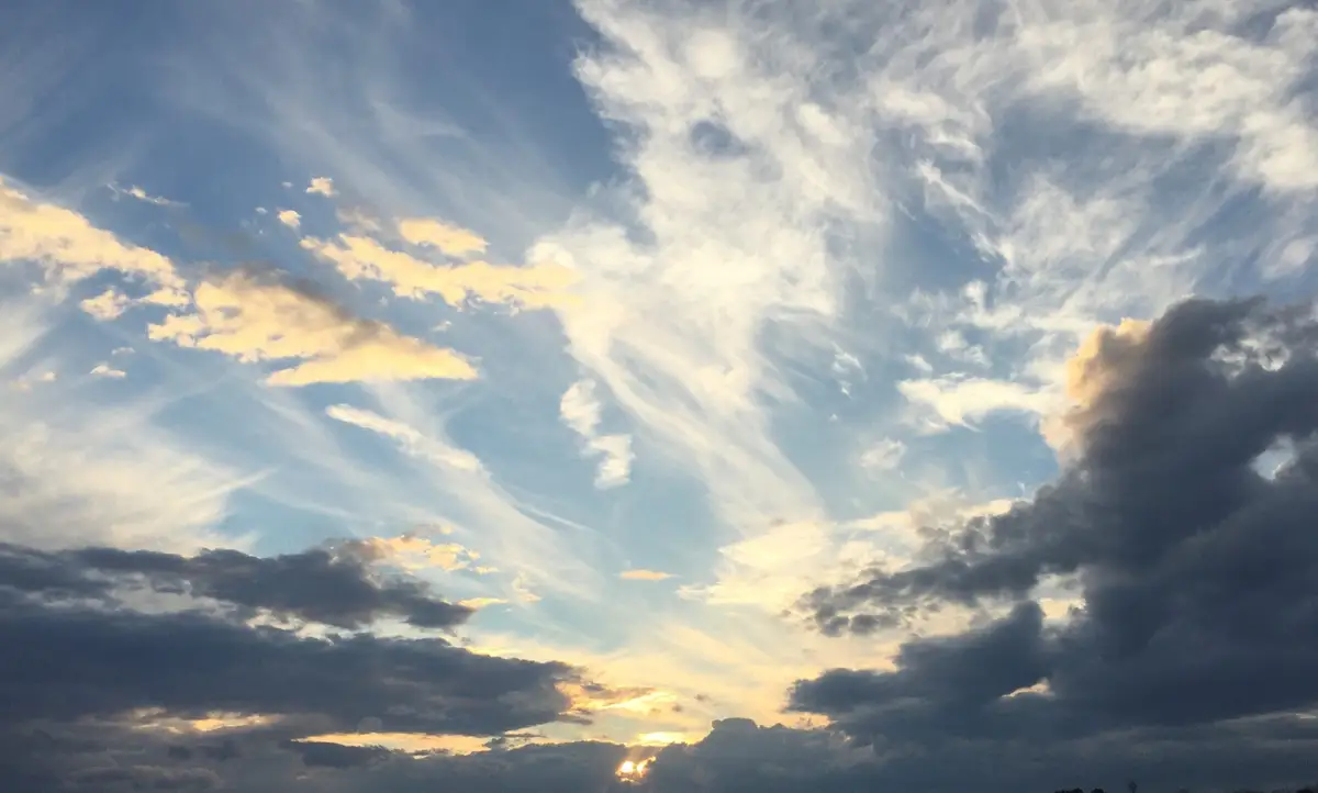 Photo from Uppsala Aerobatic Club's website