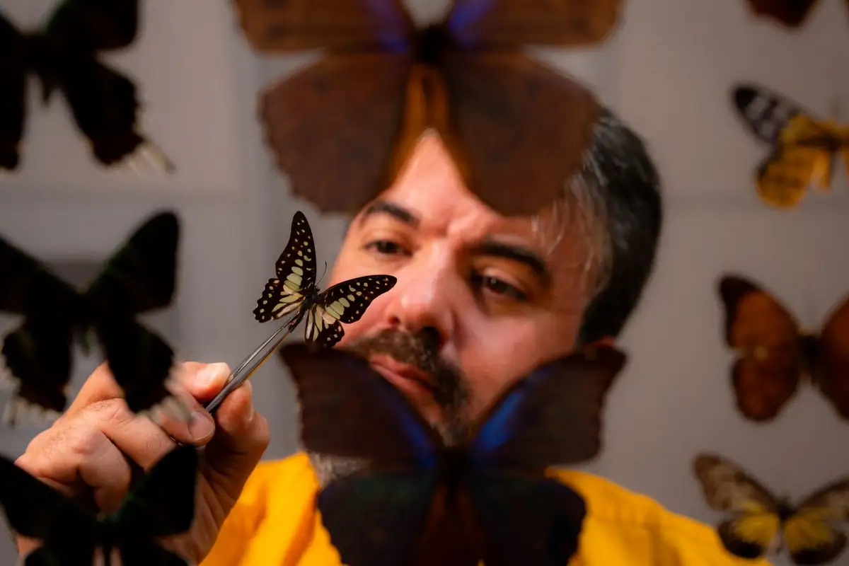 Photo from Flight school's website