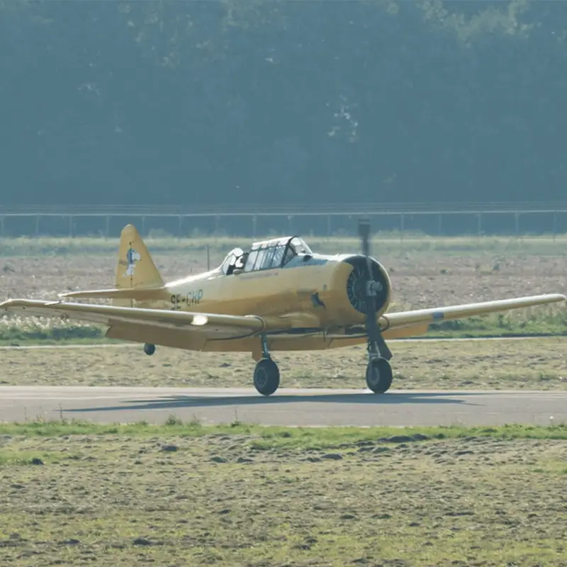 Photo from Wings over Holland's website