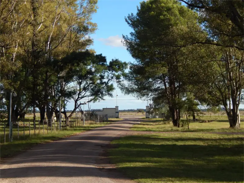Photo from Aeroclub Bahia Blanca's website