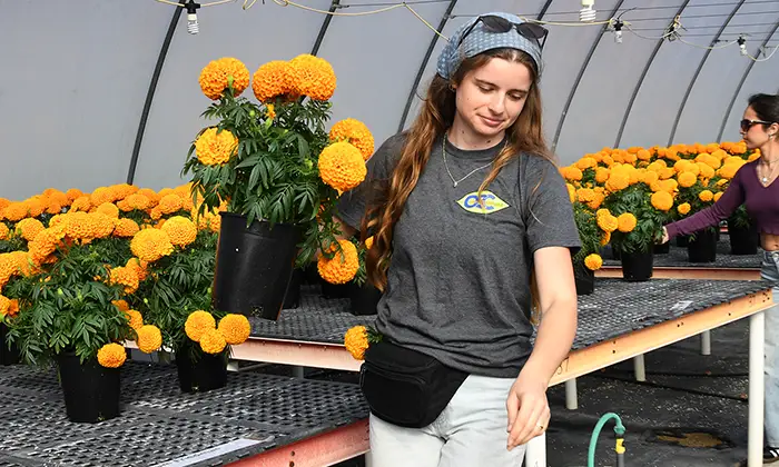 Photo from Orange Coast College's website