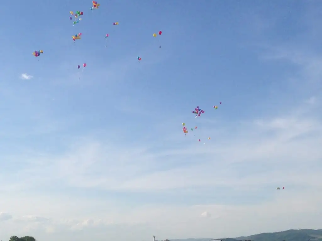 Foto von der Website von Aero Club De Brioude