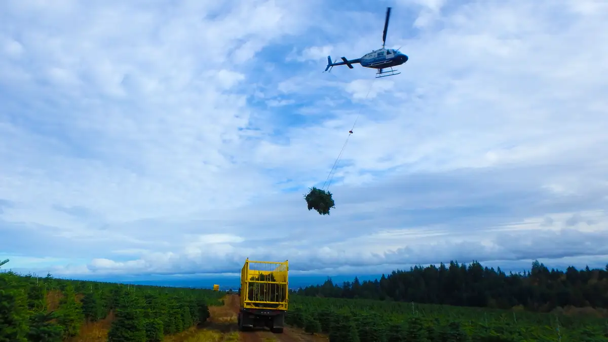 Photo from Apexheli Oregon's website