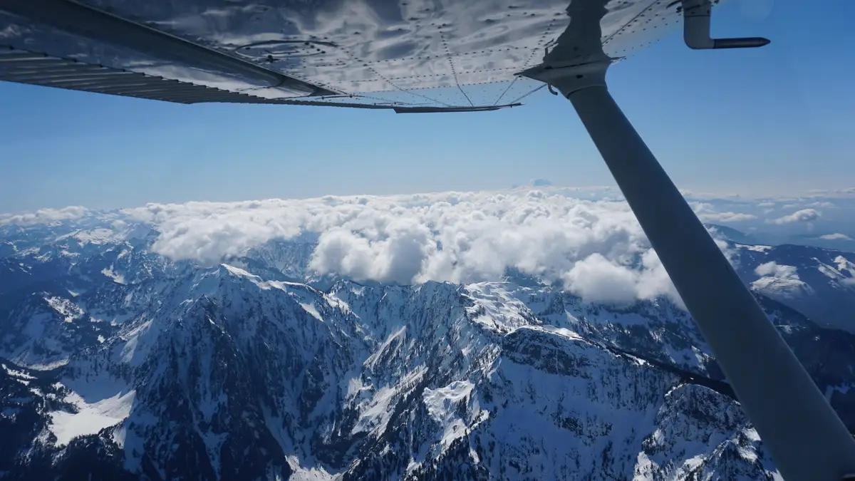 Photo from Regal Air's website