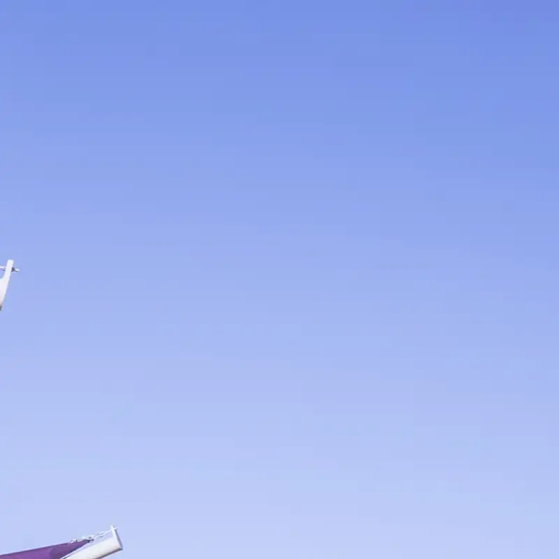 Photo from Kansas State University - Salina's website