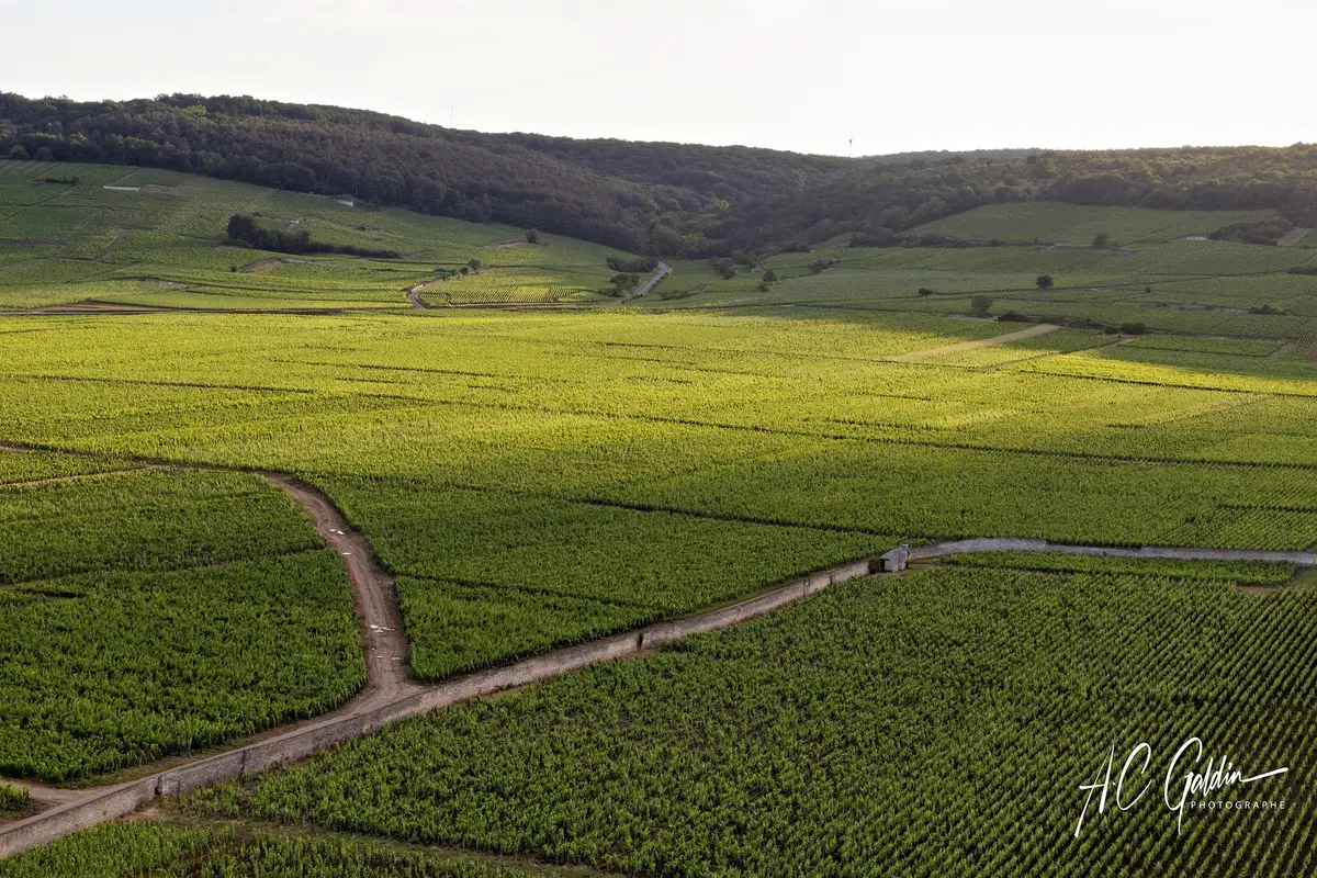Photo from Les Montgolfieres Nuitonnes's website