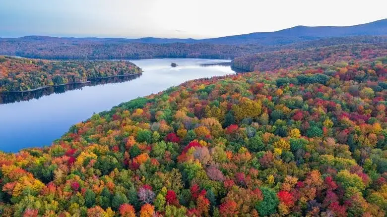 Photo from Infinity Flight Group - Burlington's website