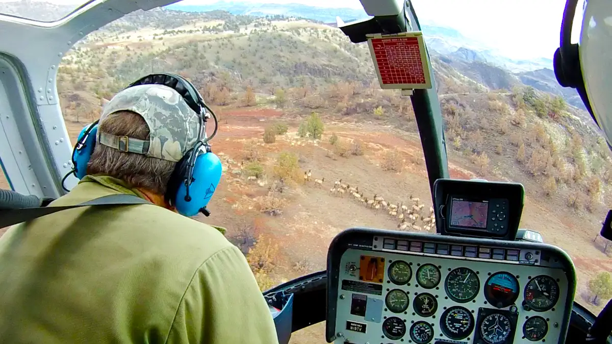 Photo from Apexheli Oregon's website