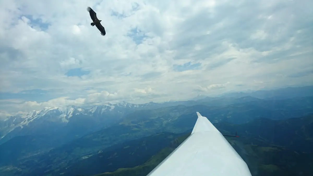 Photo from SAGA (Seyne Les Alpes Gliders Association)'s website