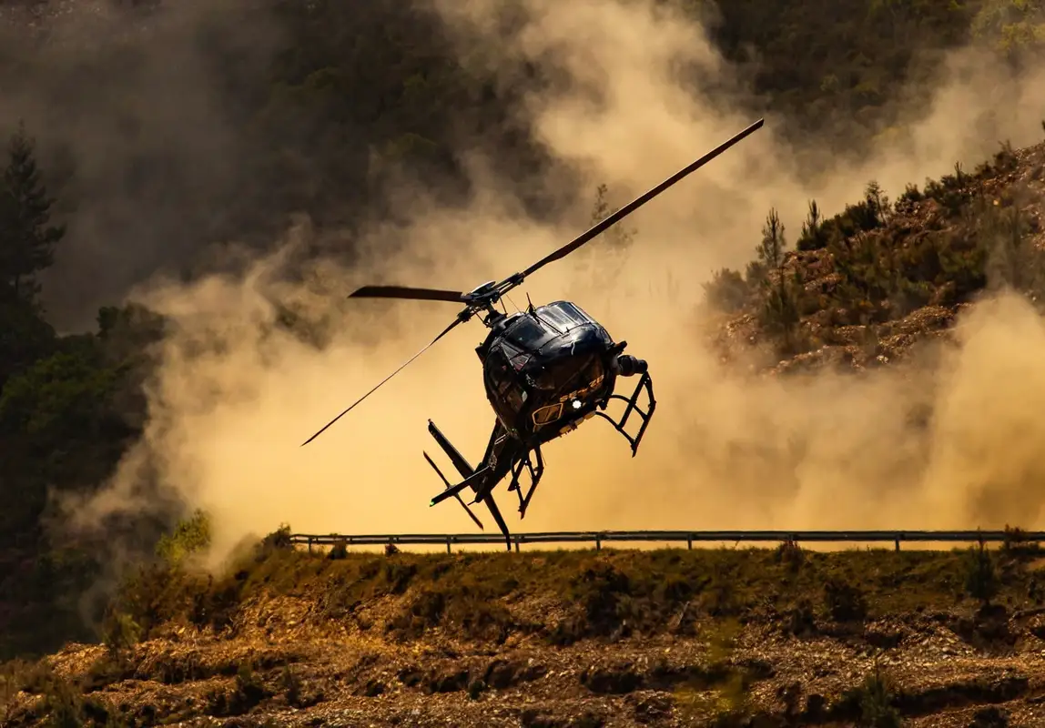 Photo from David ADAMSON's website