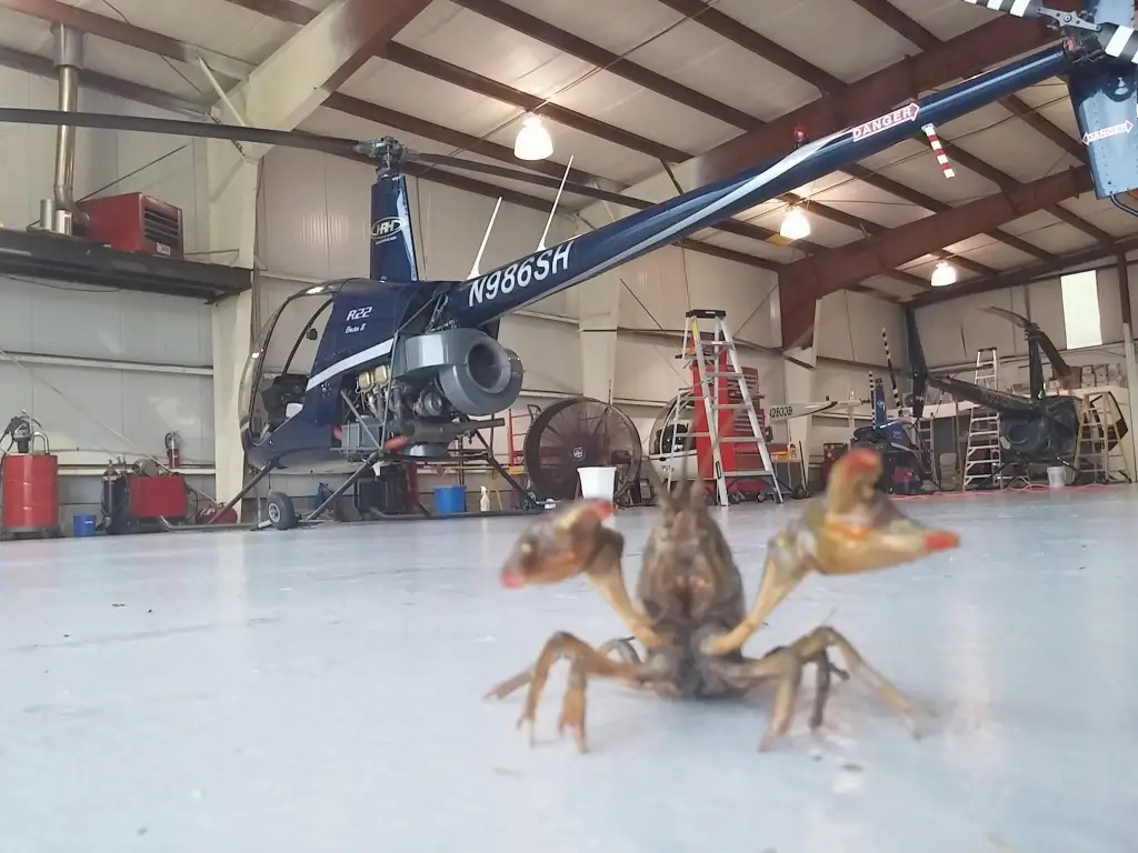 Foto del sitio web de Hampton Roads Helicopters