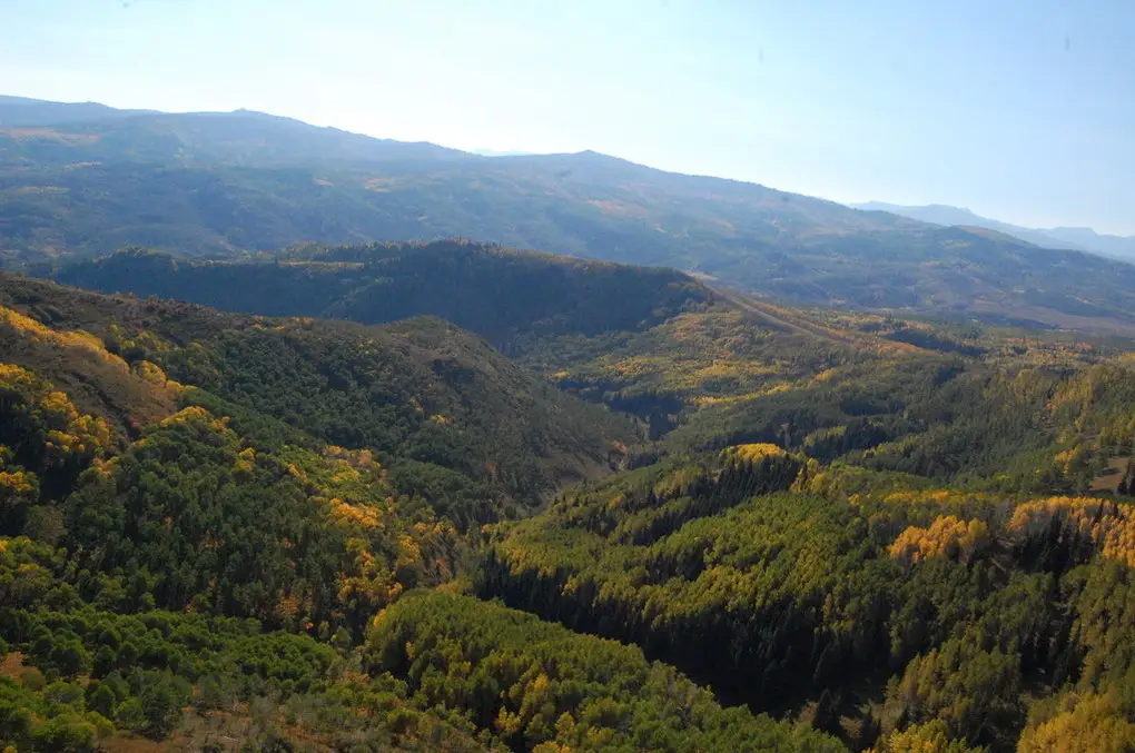 Photo from Zephyr Helicopter Company's website