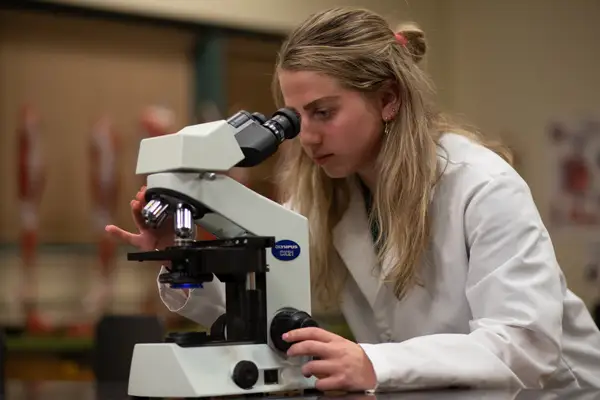 Photo from Marywood University's website